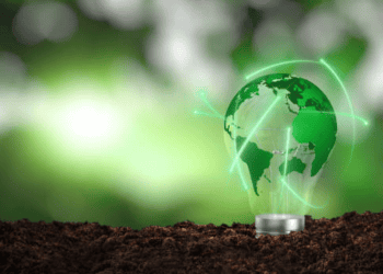 A light bulb with a green globe inside of it, symbolizing sustainability and emerging ESG trends.