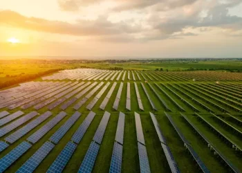 Aerial view of a large-scale solar farm, contributing to carbon neutral initiatives like NTT DoCoMo's 2040 goal. - Supply Chain News