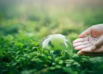 The role of a person's hand in sustainable development is highlighted as they delicately hold a glass ball amidst the lush green grass.