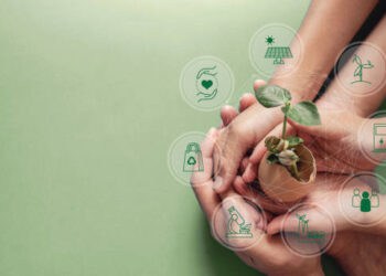 Hands holding a sprouting plant, symbolizing corporate social responsibility and sustainable practices. - Supply Chain News