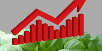 Graph with red arrow showing growth over cabbage heads - Supply Chain News