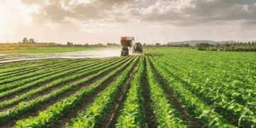 Tractor spraying crops in a sustainable agriculture field. AI and blockchain technology improve farming. - Supply Chain News