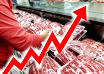 Packaged Australian poultry meat in a Singapore supermarket, showing rising prices. - Supply Chain News