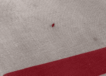 A bug with a surprise appearance on a red and white striped fabric at the Met Gala.