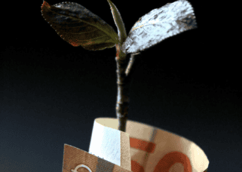 Plant sprout emerging from rolled fifty euro banknote. Investing in luxury goods. - Supply Chain News