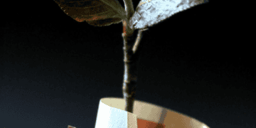 Plant sprout emerging from rolled fifty euro banknote. Investing in luxury goods. - Supply Chain News