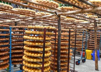Rows of drying persimmons on racks, traditional food preservation. - Supply Chain News