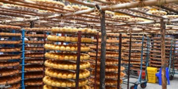 Rows of drying persimmons on racks, traditional food preservation. - Supply Chain News