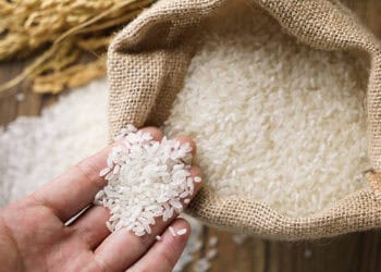 Handful of white rice from burlap sack; Vietnam and Philippines rice trade. - Supply Chain News