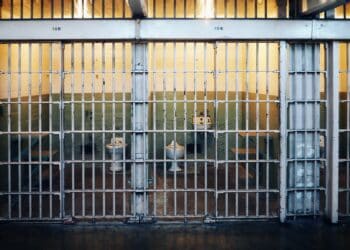 Jail cell bars with toilets inside. Numbers 104 and 106 visible. - Supply Chain News