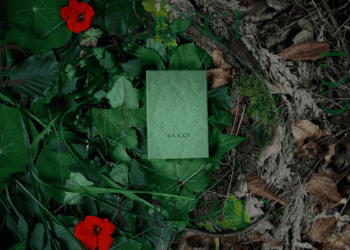 A green box laying on the ground amidst a colorful array of red flowers.