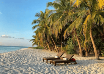 Luxury beach vacation: Two lounge chairs on pristine white sand under palm trees at sunset. - Supply Chain News