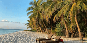 Luxury beach vacation: Two lounge chairs on pristine white sand under palm trees at sunset. - Supply Chain News