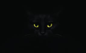A BlackCat Ransomware Saga disrupts FBI developments as a black cat lurks in the dark with piercing yellow eyes.