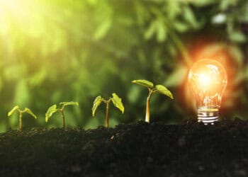 A light bulb with a plant growing out of it in the dirt, providing insights into the balance between nature and technology.