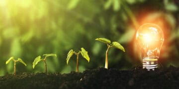 A light bulb with a plant growing out of it in the dirt, providing insights into the balance between nature and technology.