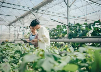 Two people studying agriculture data on a tablet in a greenhouse.