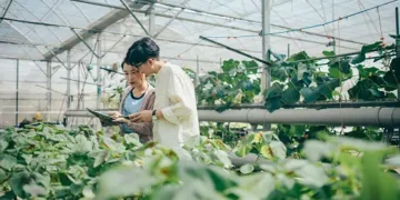 Two people studying agriculture data on a tablet in a greenhouse.