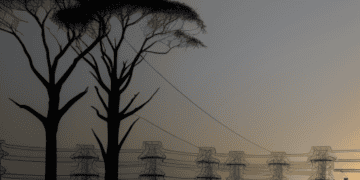Silhouette of a tree with power lines in the background, highlighting the impact of extended power cuts in South Africa.
