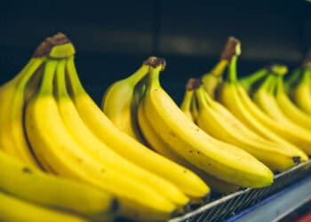 A bunch of bananas from the Philippines on a shelf in a grocery store.