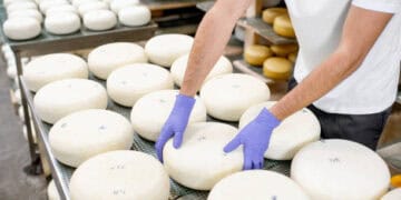 A man in the UK is putting cheese on a rack at a tariff-free factory, specialized in cheese exports.