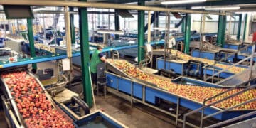 A conveyor belt in a factory, potentially impacted by tariff policy and FTA prospects with Switzerland.