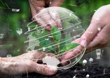 In a Gilgit-Baltistan workshop, two hands delicately tend to a plant in the dirt under the supervision of UNDP.