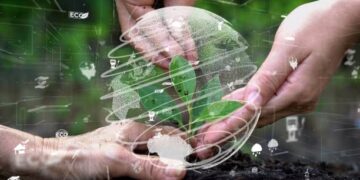 In a Gilgit-Baltistan workshop, two hands delicately tend to a plant in the dirt under the supervision of UNDP.