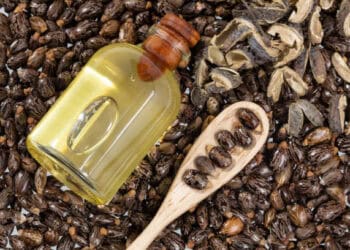 A bottle of jojoba oil sourced responsibly and certified by the Sustainable Castor Association, placed alongside a spoon, rests delicately on a bed of aromatic coffee beans.