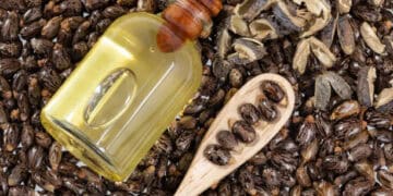 A bottle of jojoba oil sourced responsibly and certified by the Sustainable Castor Association, placed alongside a spoon, rests delicately on a bed of aromatic coffee beans.