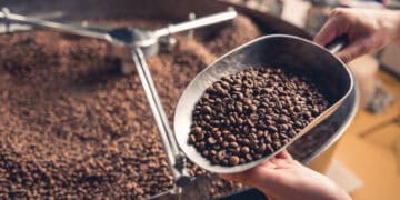 A person is pouring ethically sourced coffee beans from Starbucks into a machine.