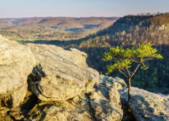 Cleveland-Cliffs Reports Fourth Quarter Loss Amidst a Profitable Year