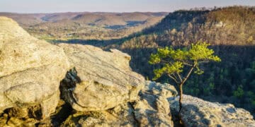 Cleveland-Cliffs Reports Fourth Quarter Loss Amidst a Profitable Year