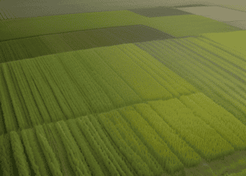 WTO and FAO Sign Framework to Enhance Cooperation on Trade, Food Security, and Climate Change