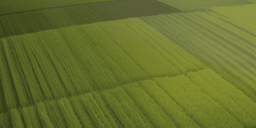 WTO and FAO Sign Framework to Enhance Cooperation on Trade, Food Security, and Climate Change