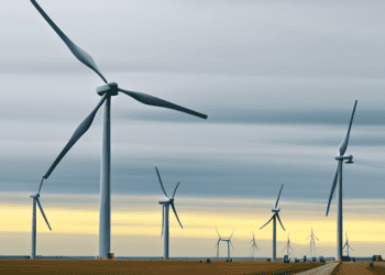 Evaluating wind turbines in a field.