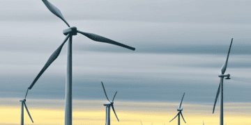 Evaluating wind turbines in a field.