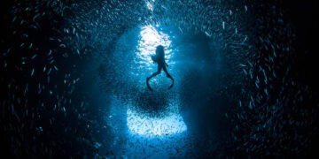 WTO Meeting in Abu Dhabi: Fisheries Agreement in Focus Amid Global Trade Challenges