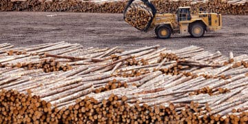 U.S. Department of Commerce Proposes Increase in Tariffs on Canadian Softwood Lumber