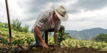 Starbucks Challenged Over Claims of Ethically Sourced Coffee in New Lawsuit