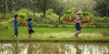 Vietnamese Enterprises to Explore Global Agricultural Supply Chain Opportunities at ASCA 2024