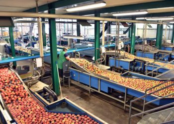 Farmers Worldwide Rally Against Free Trade Agreements Amid Economic Challenges