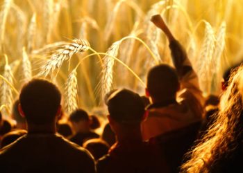 EU Imposes Caps on Duty-Free Ukrainian Agricultural Imports Amid Farmer Protests