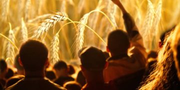 EU Imposes Caps on Duty-Free Ukrainian Agricultural Imports Amid Farmer Protests