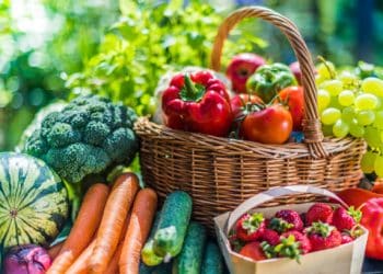 Fruit and Vegetable Exports Show Strong Growth Amid Economic Challenges