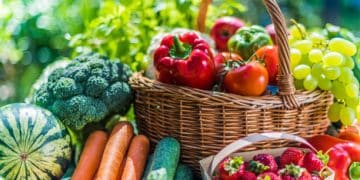 Fruit and Vegetable Exports Show Strong Growth Amid Economic Challenges
