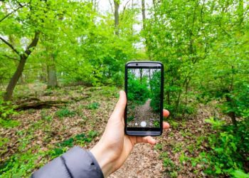 New AI Tools Revolutionize Gardening Experience