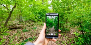 New AI Tools Revolutionize Gardening Experience