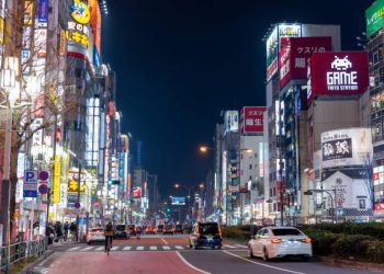 Japan's Business Confidence Dips Amid Economic Challenges