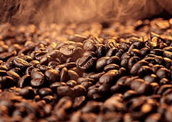 Finland's Kaffa Roastery Introduces AI-Developed Coffee Blend, Pioneering Industry Innovation